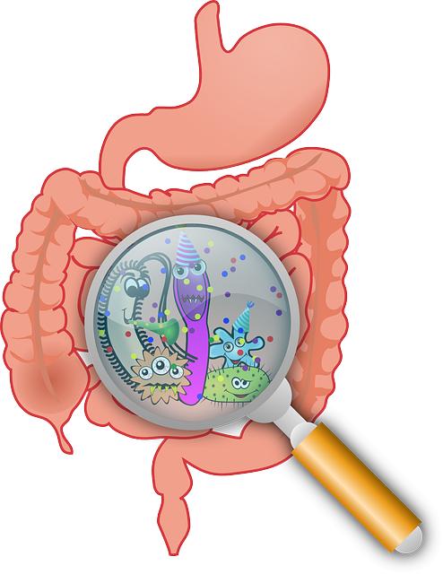 Lifestyle Changes for Enhanced Gut Health and Diverticulitis Management