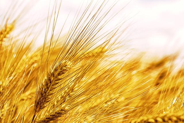 The Importance of Fiber in Preventing Diverticulitis Flare-Ups