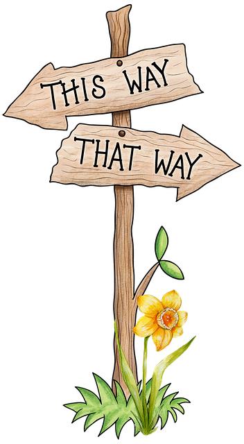 Final Recommendations: Making an Informed Choice